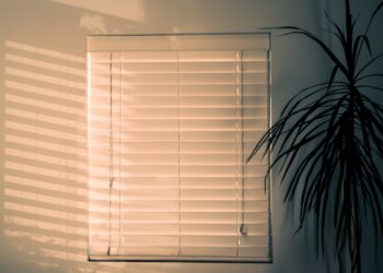 Different Types of Window Blinds For Good Light Control