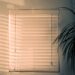 Different Types of Window Blinds For Good Light Control