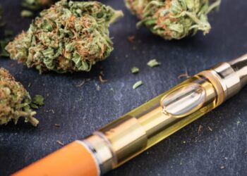Why Has Vaping CBD and THC Become So Popular?