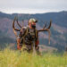 Celebrities That Love Hunting: Interesting Facts and Tips