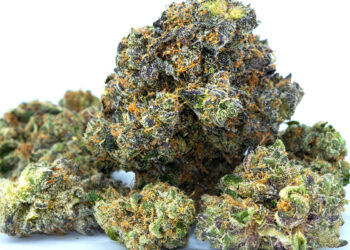 A Review of CBG Flower